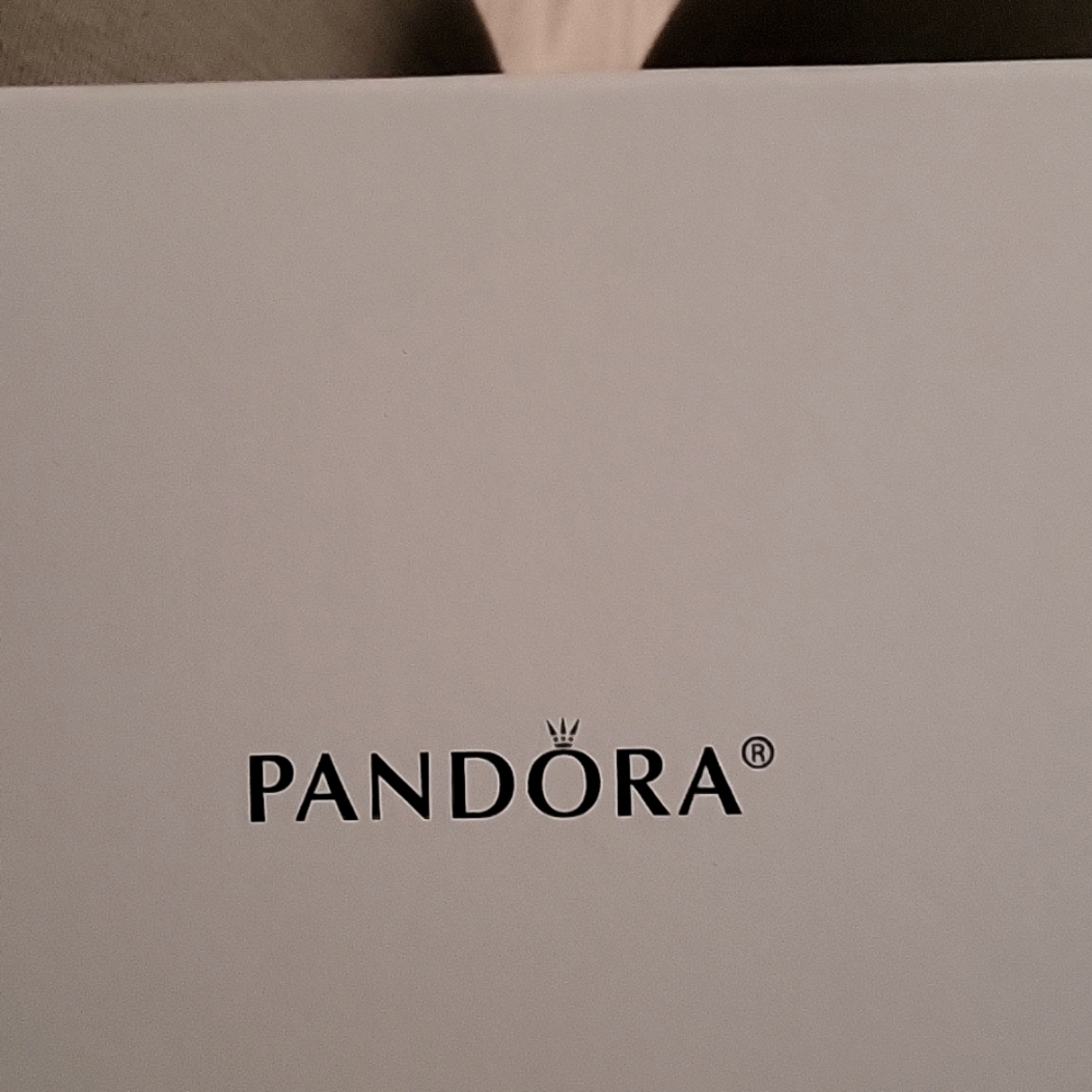NWT Pandora Ivory White Envelope Clutch Bag. Never been used. Cute!!